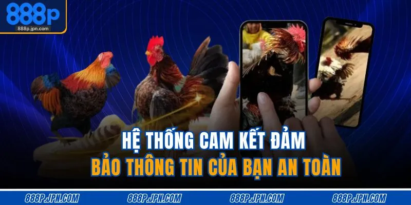 Hệ thống cam kết đảm bảo thông tin của bạn an toàn