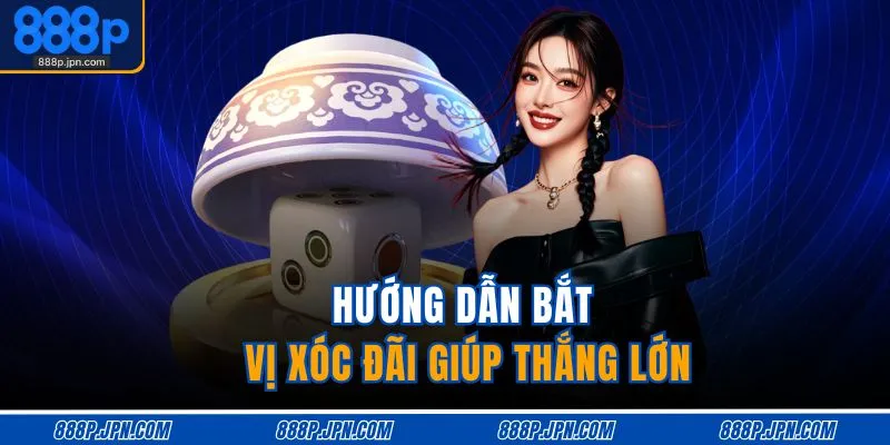Hướng dẫn bắt vị xóc đãi giúp thắng lớn