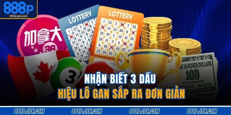 Nhận biết 3 dấu hiệu lô gan sắp ra đơn giản